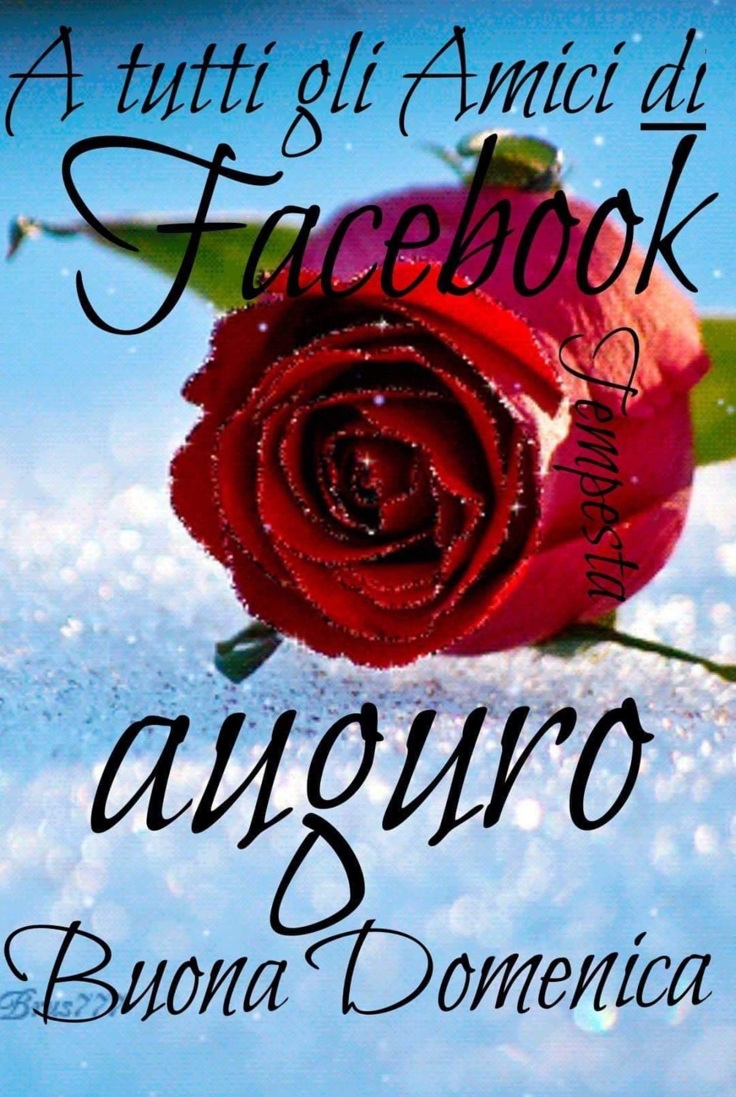 A tutti gli amici di Facebook Buona Domenica 449