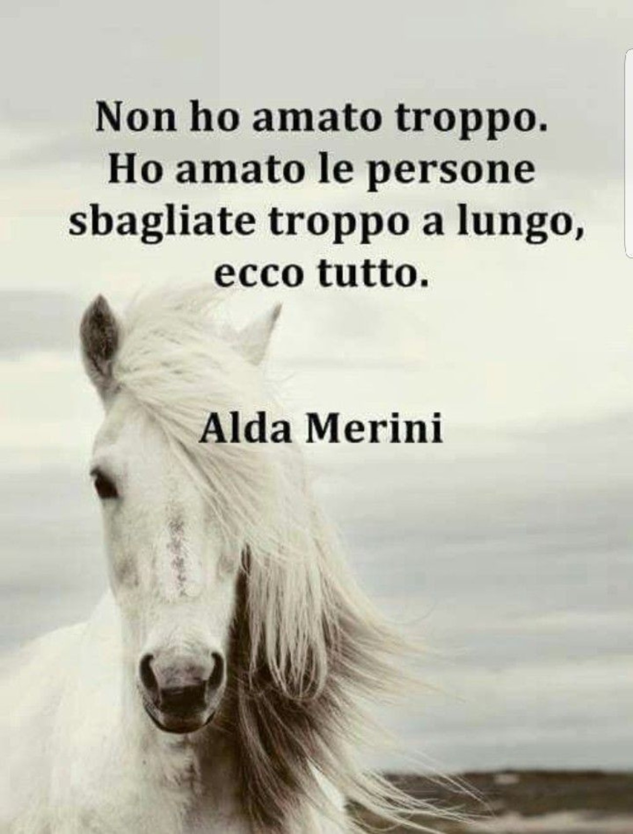 Alda Merini frasi 458