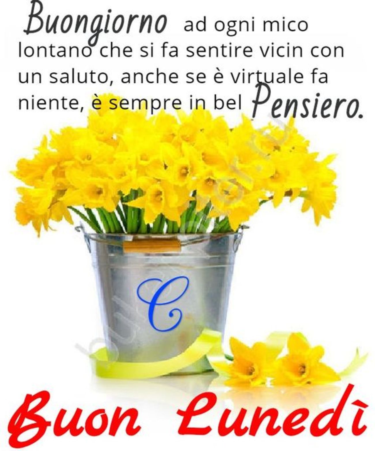 Buon Lunedi Coi Fiori Immagini Bellissime E Gratis 45 Buongiorno Immagini It