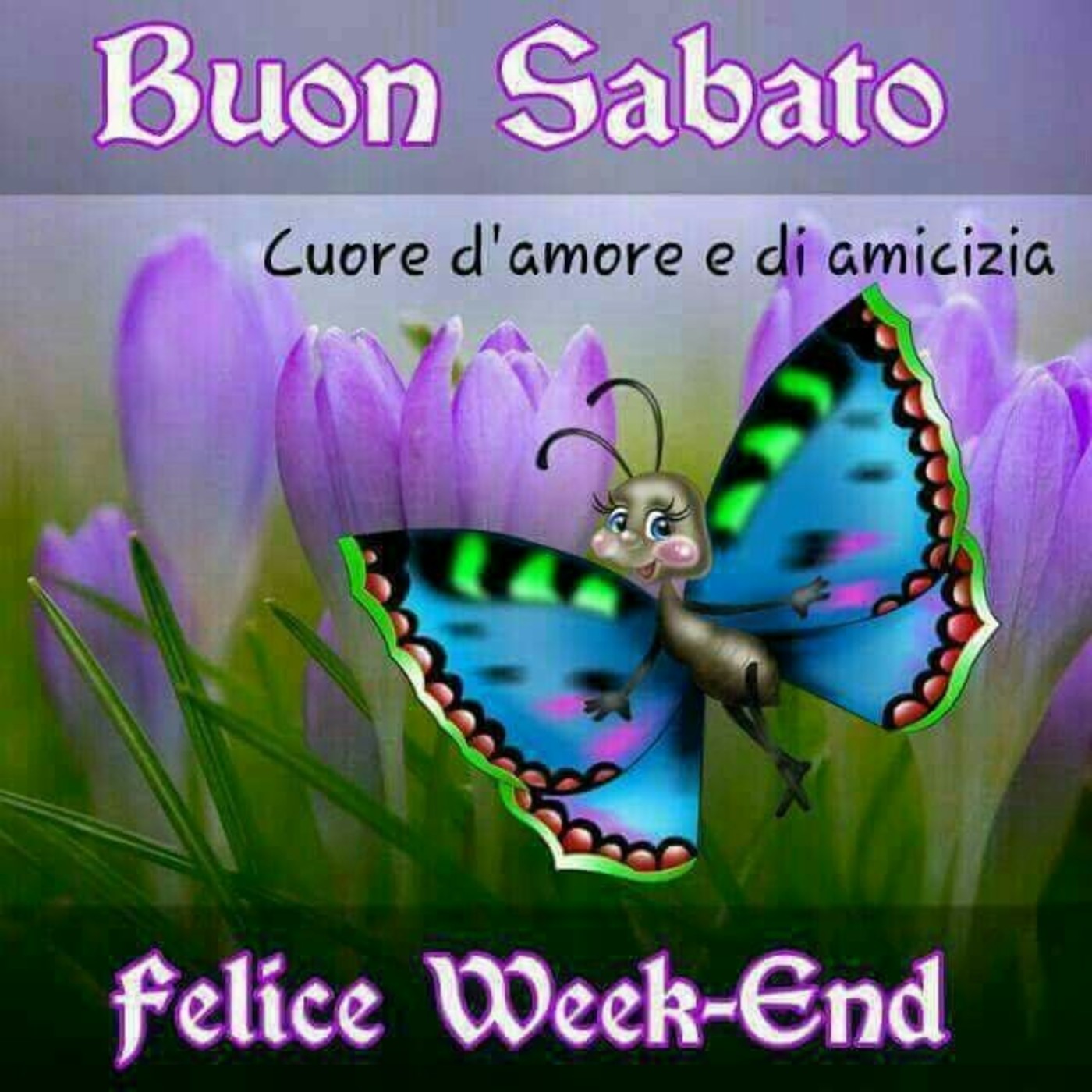 Buon Sabato Felice Week-End 134