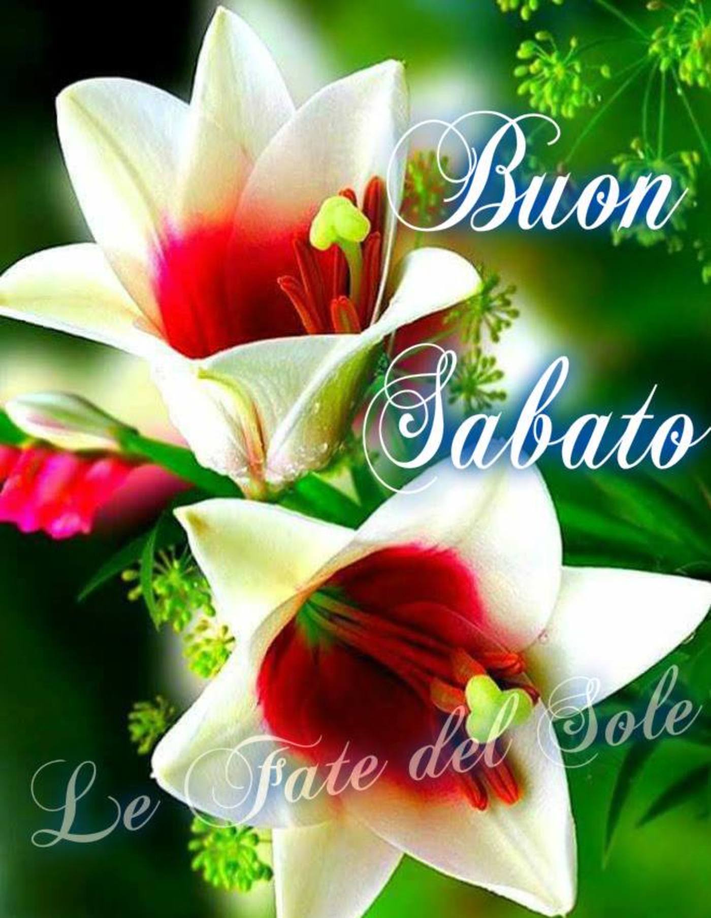 Buon Sabato E Buon Fine Settimana 7 Buongiorno Immagini It