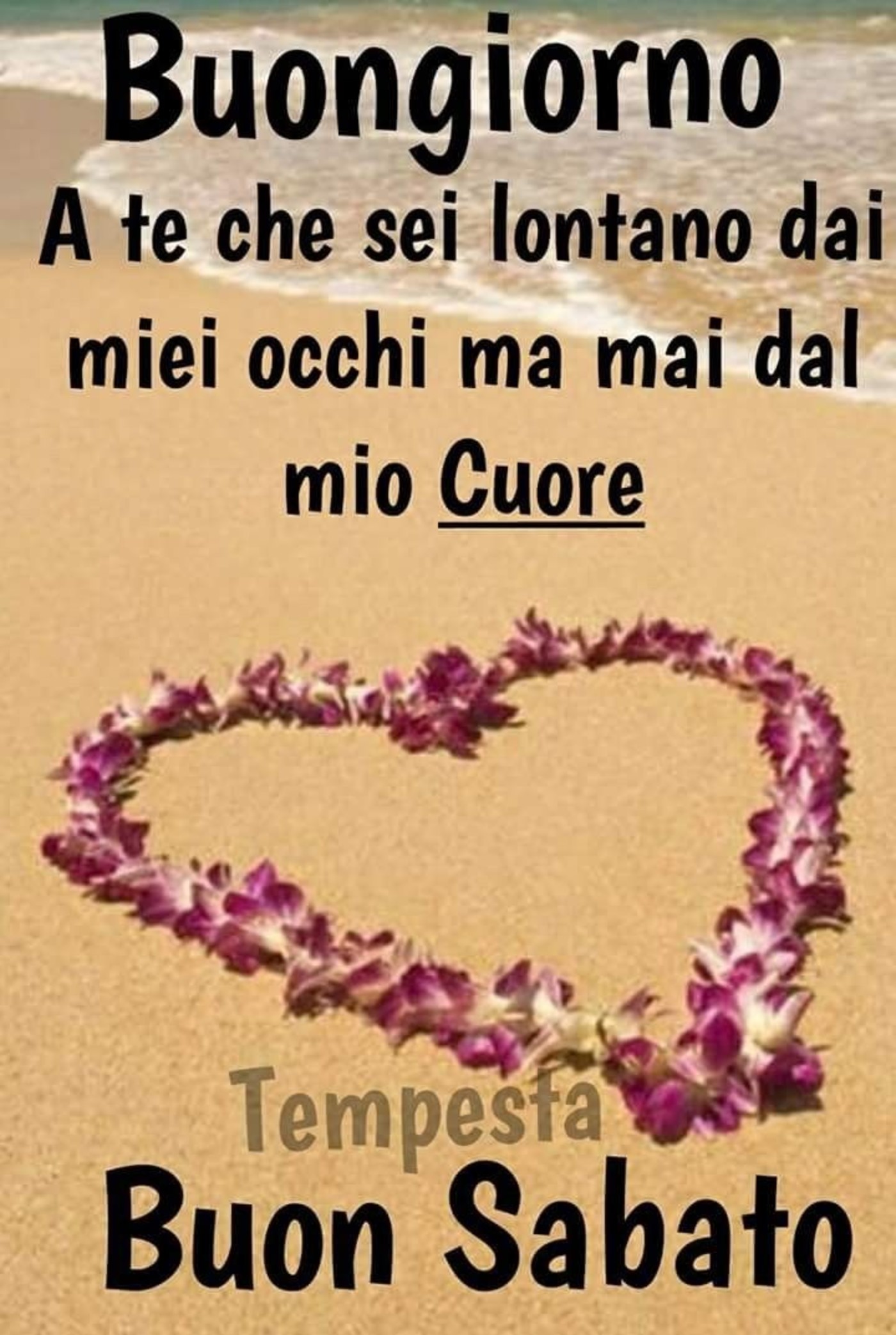 Buon Sabato E Buon Fine Settimana 76 Buongiorno Immagini It