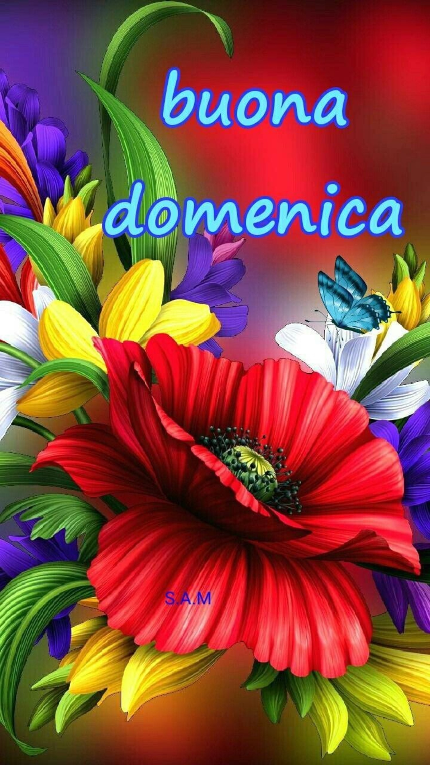 Buona Domenica WhatsApp 368