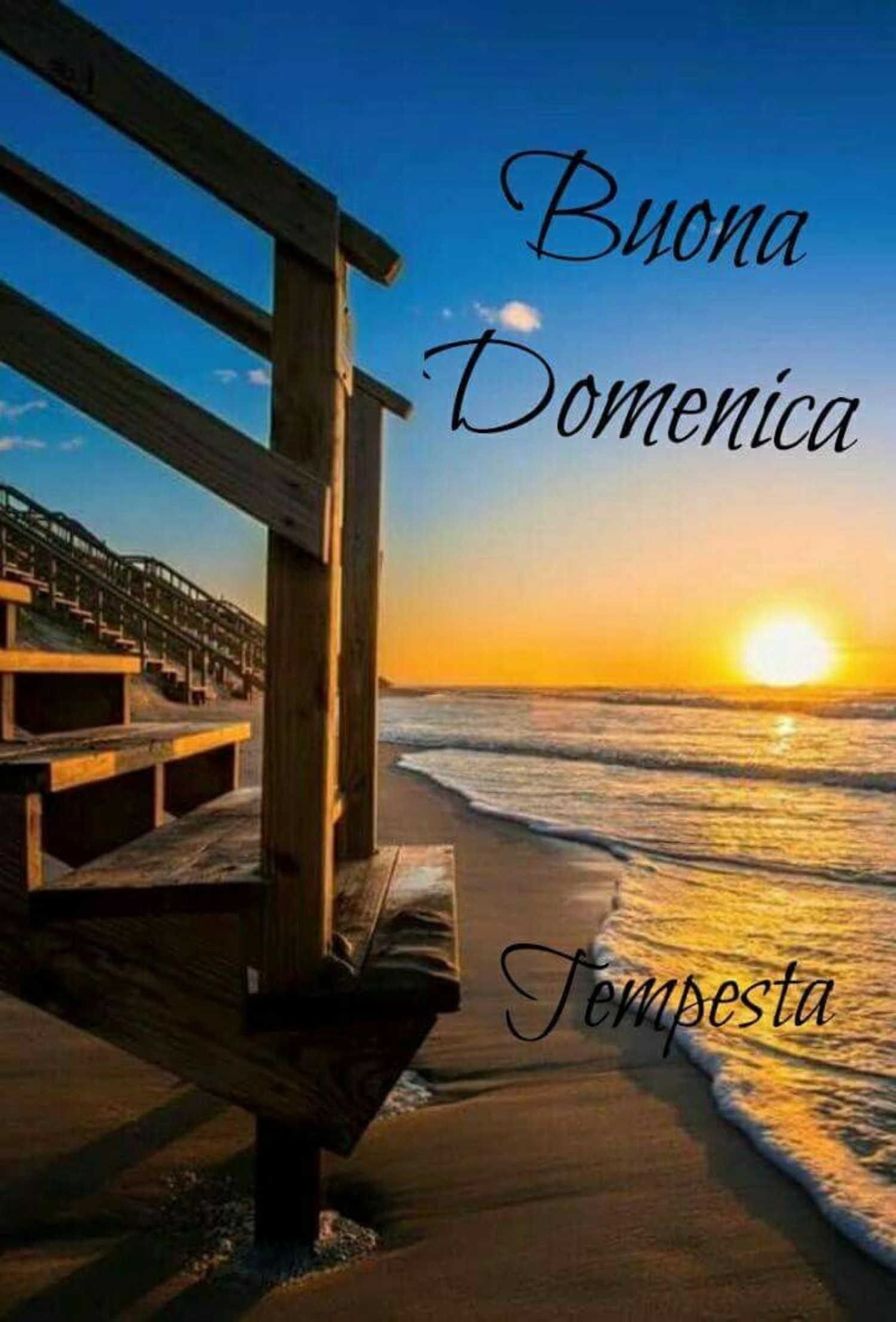 Buona Domenica WhatsApp 371