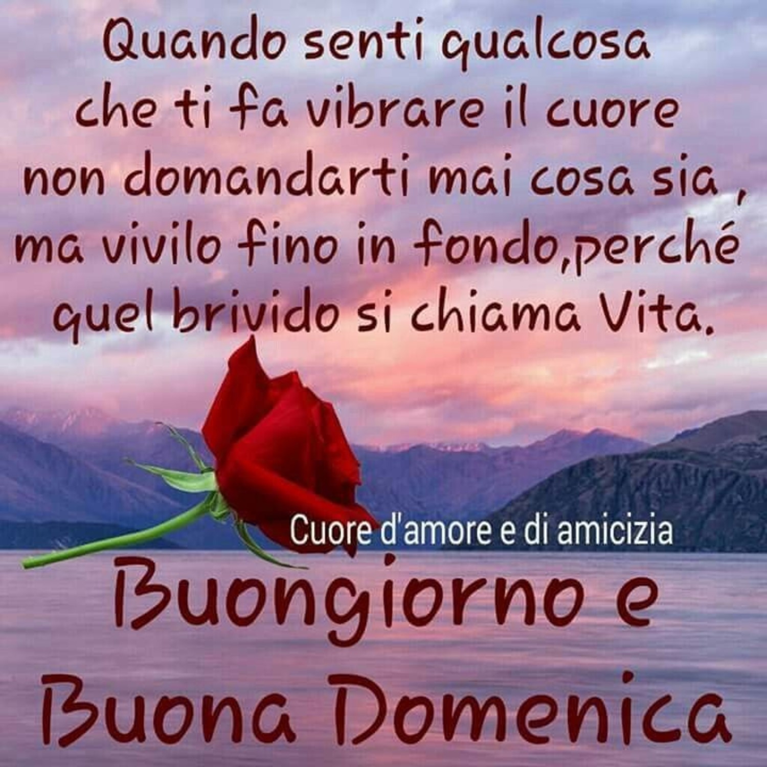 Buona Domenica Amici 437 Buongiorno Immagini It