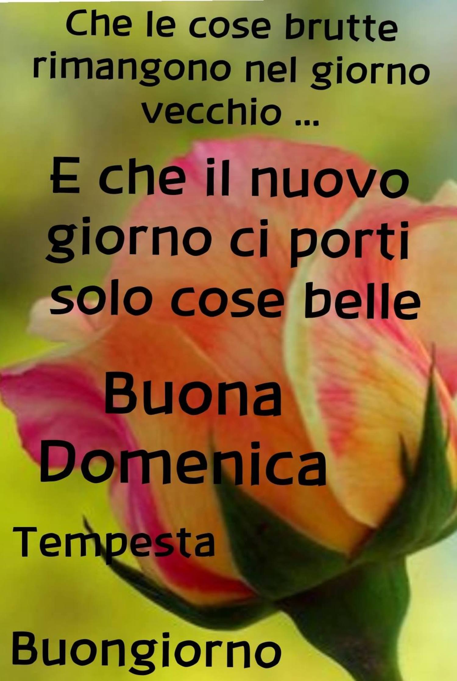 Buona Domenica buongiorno frasi da condividere 326