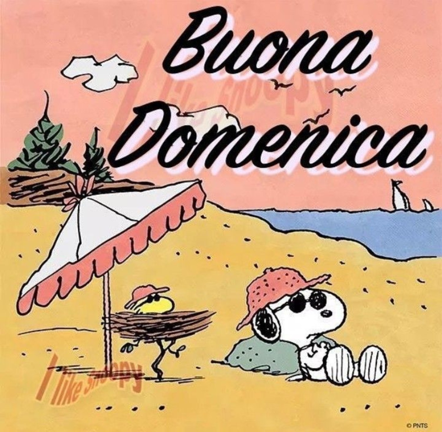 Buona Domenica di estate con Snoopy 309