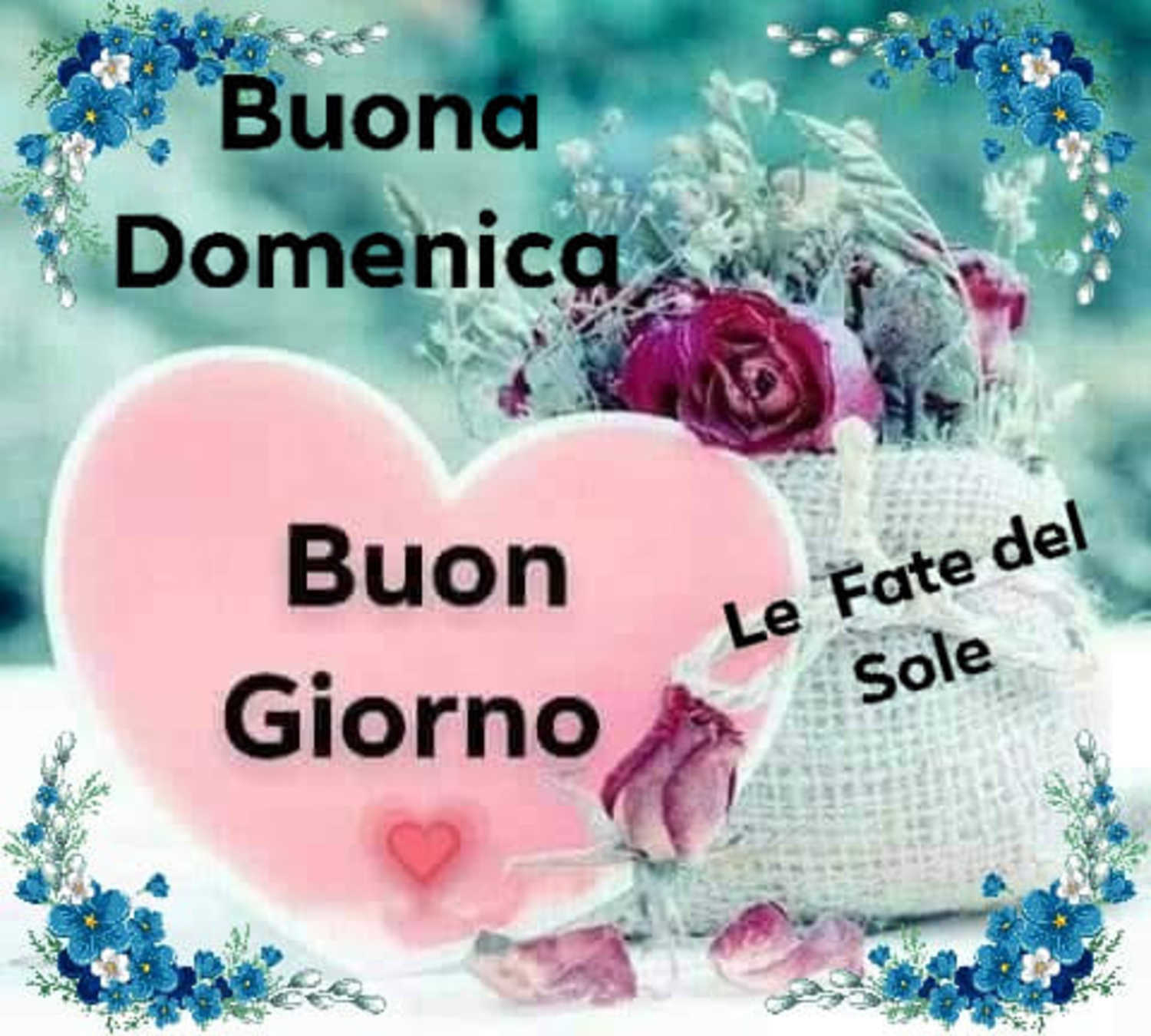 Buona Domenica e buongiorno 54