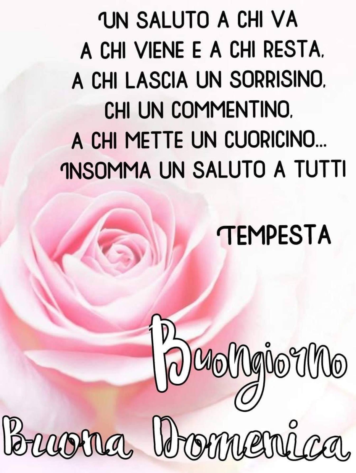 Buona Domenica immagini Pinterest 277