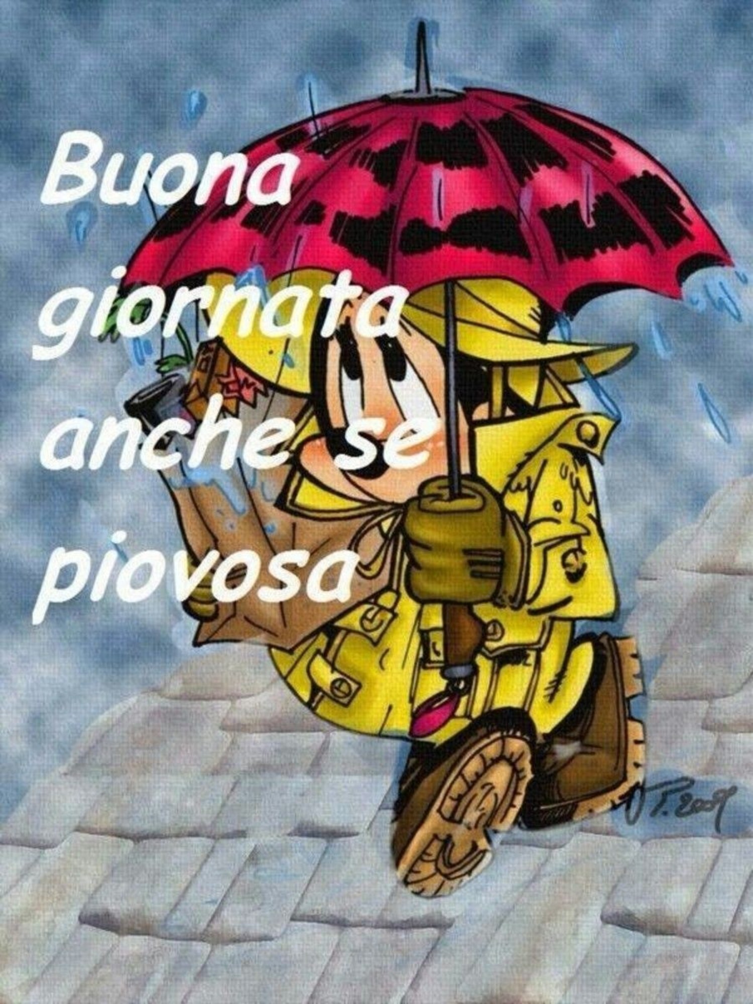 Buona Giornata anche se piovosa 46