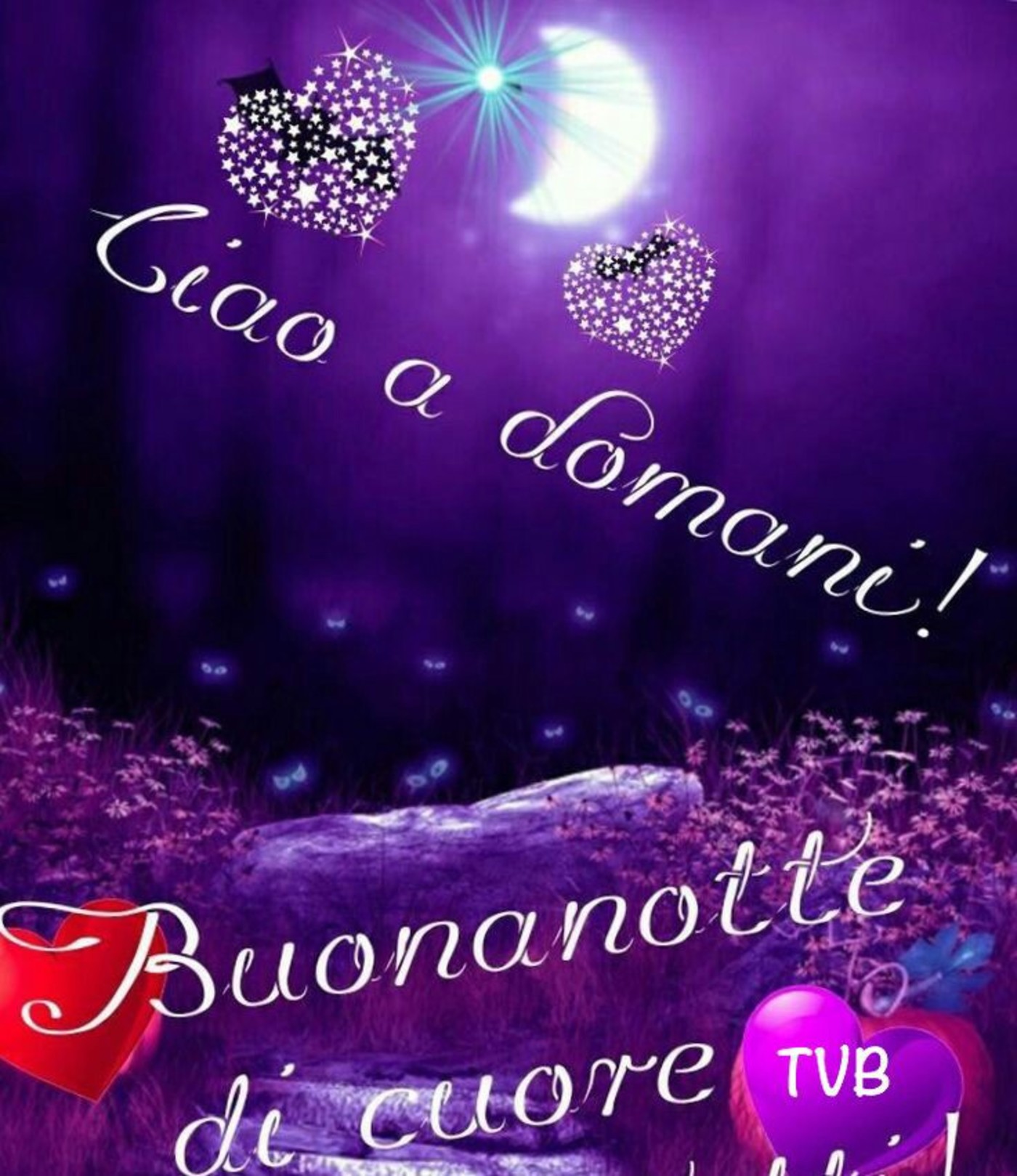 Buonanotte Amicizia 668 Buongiorno Immagini It