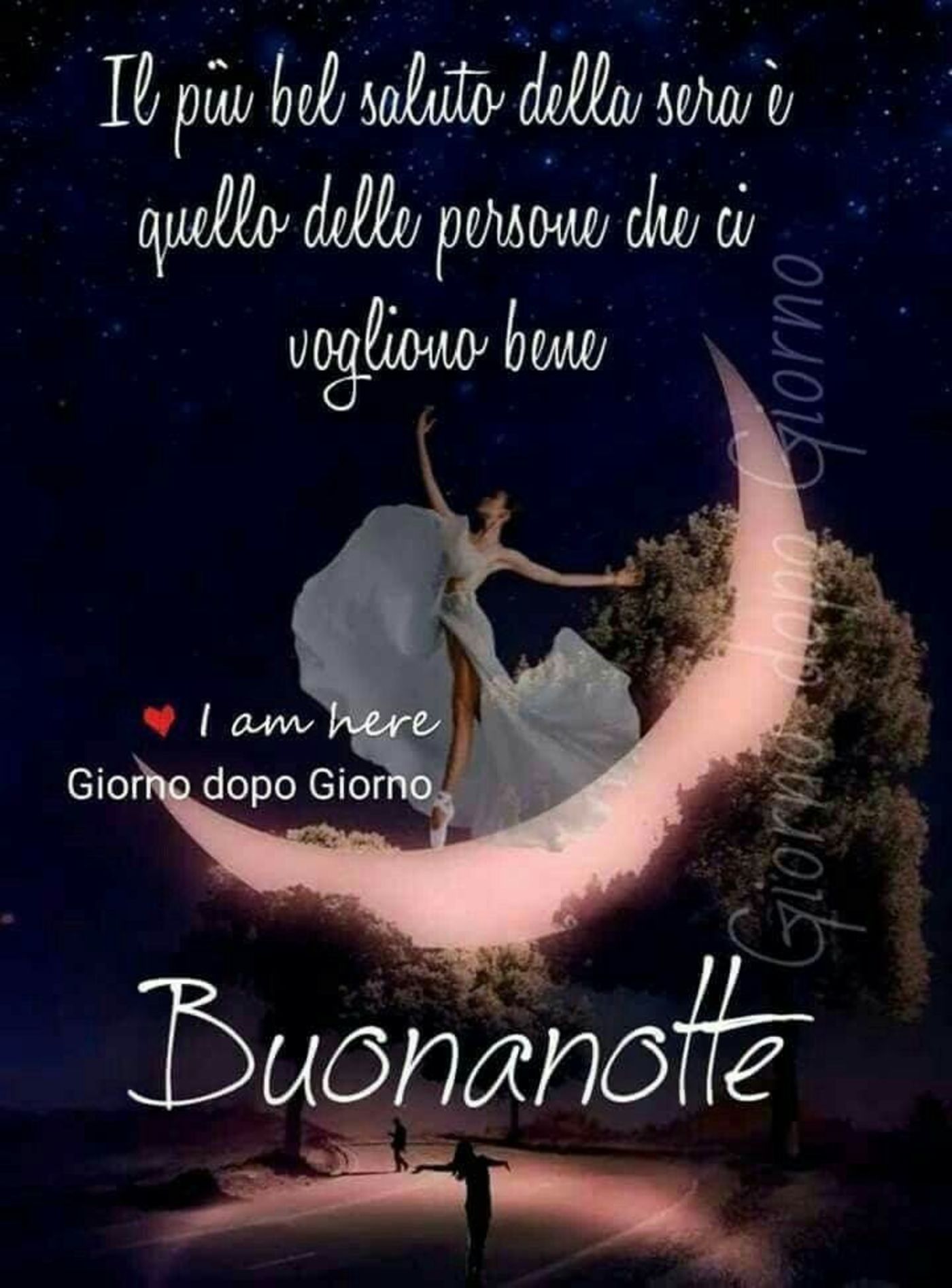 Buonanotte belle immagini 385