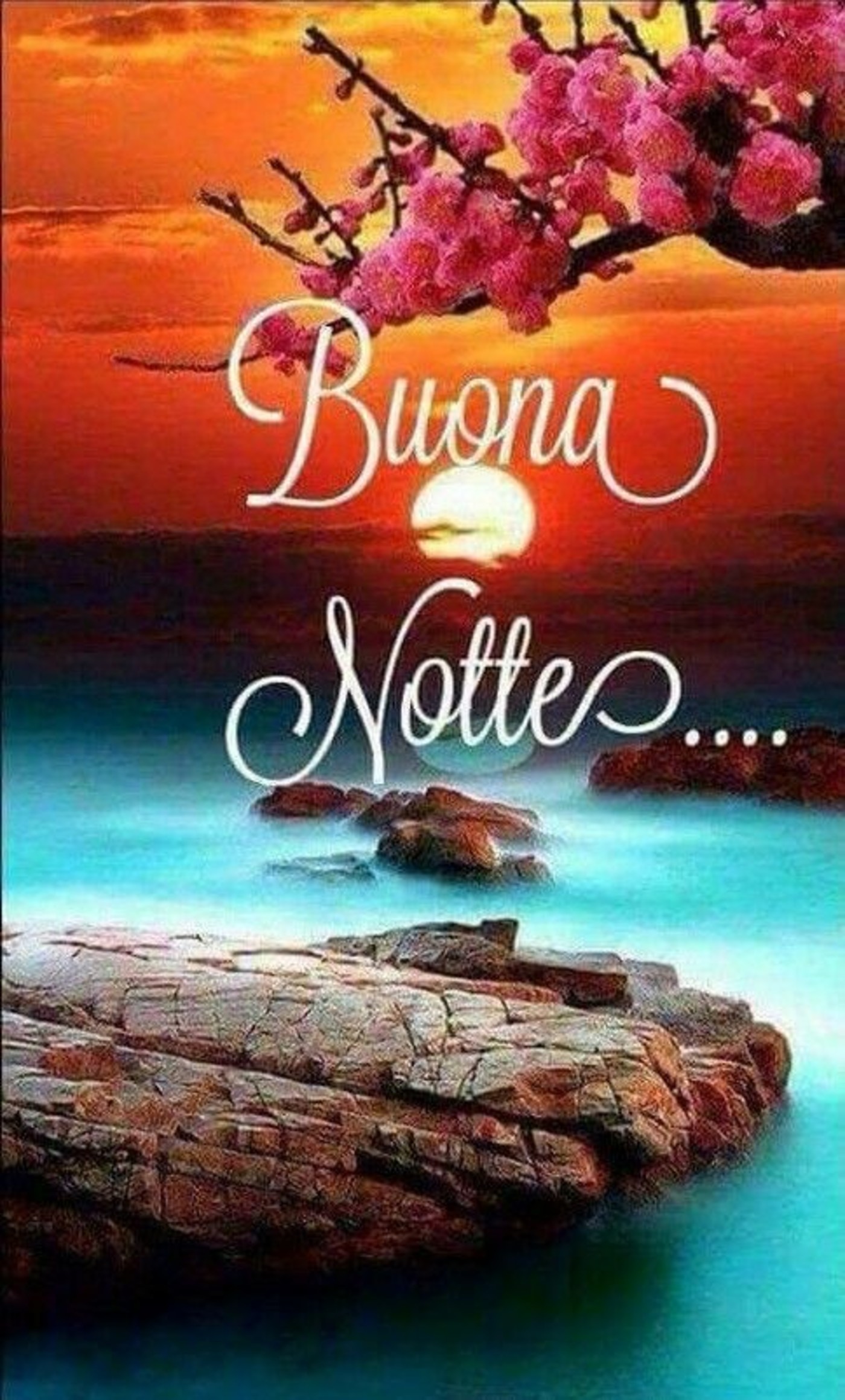 Buonanotte bellissime 710