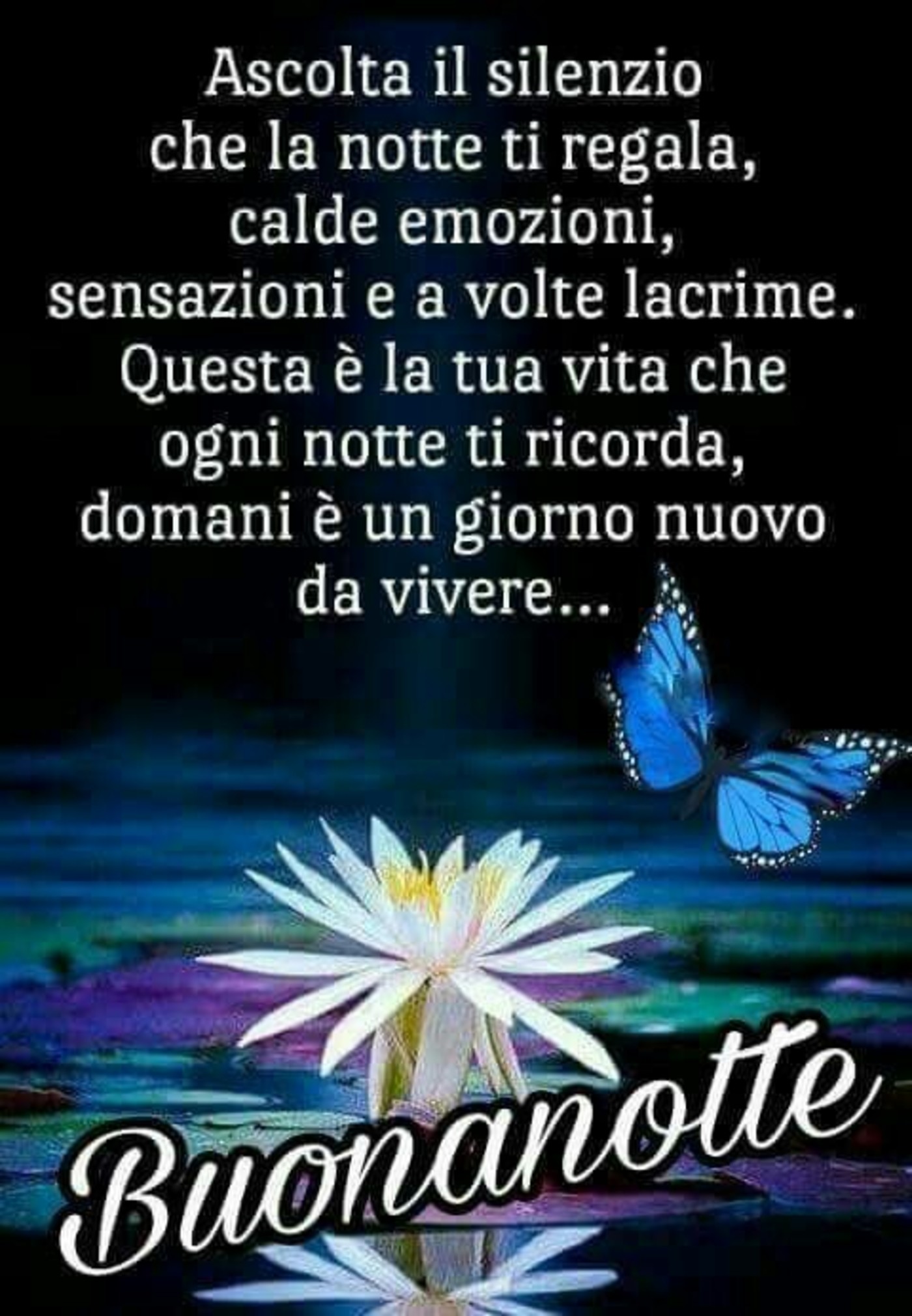 Buonanotte bellissime 713