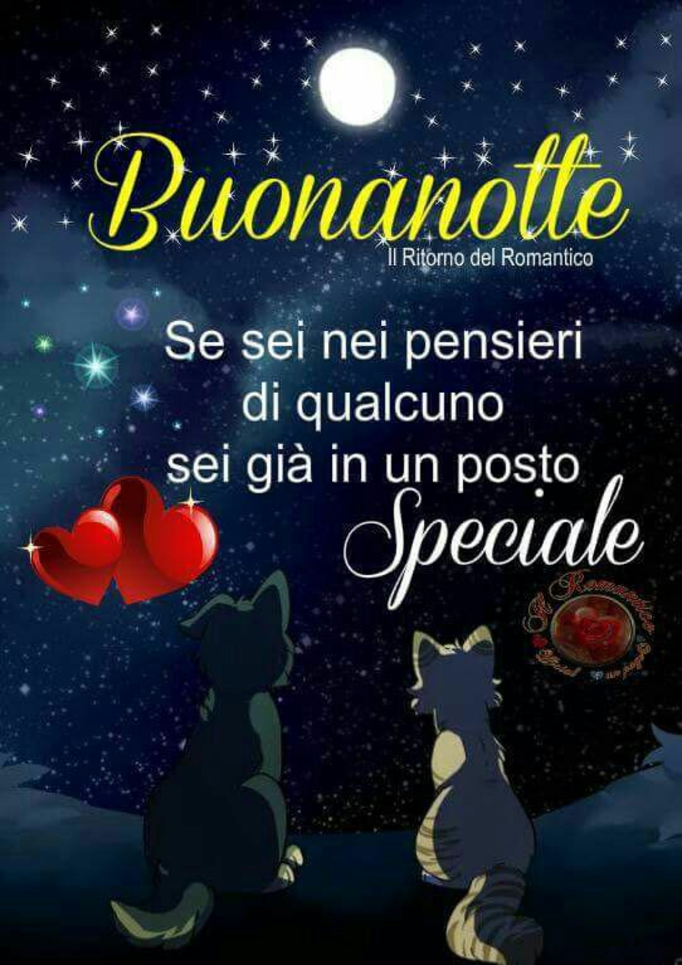 Buonanotte con affetto 592