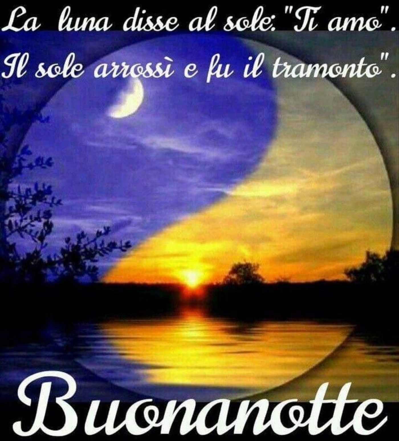 Buonanotte con affetto 598