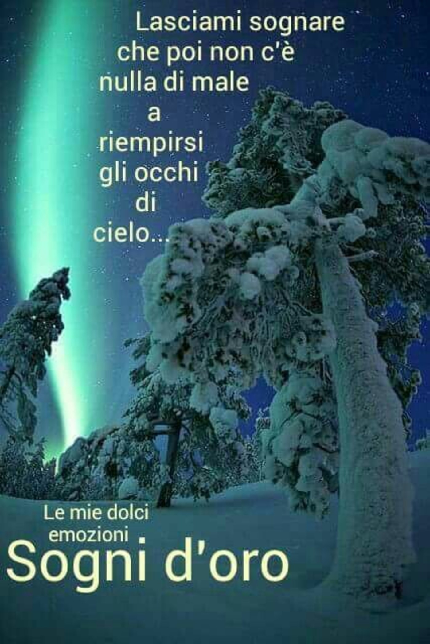 Buonanotte inverno 609