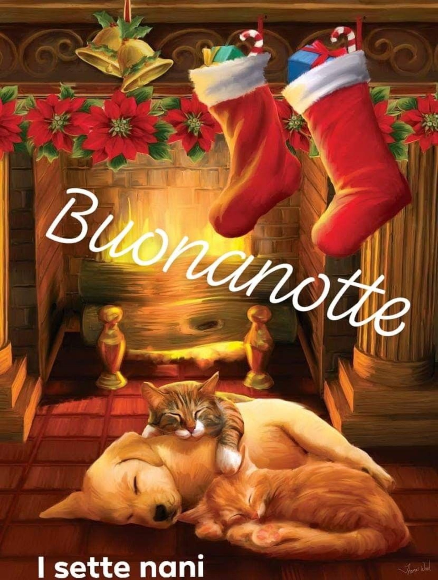 Buonanotte natalizia 433