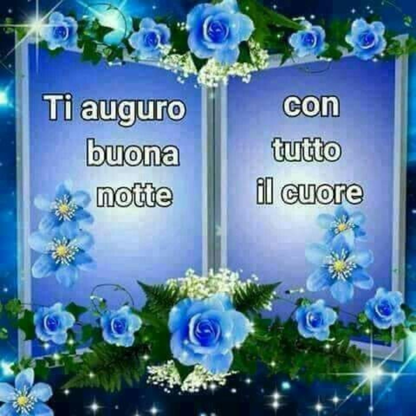 Buonanotte notte 862