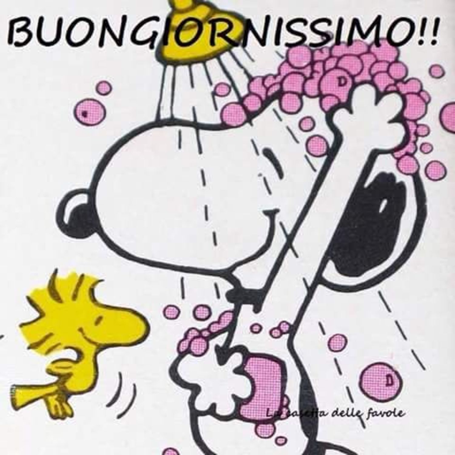 Buongiornissimo Snoopy 35