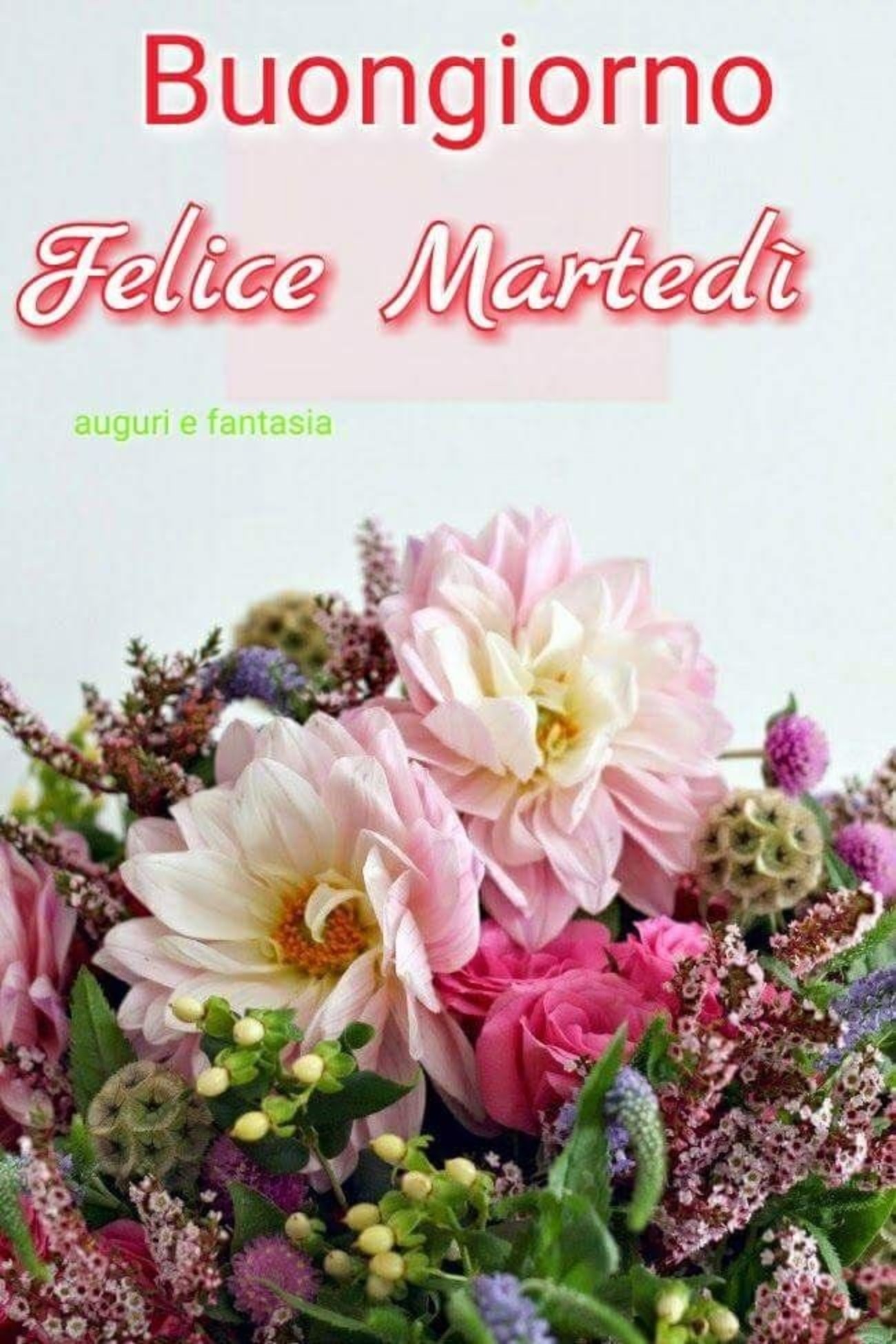 Buongiorno Buon Martedi Immagini Coi Fiori X Whatsapp 256 Buongiorno Immagini It