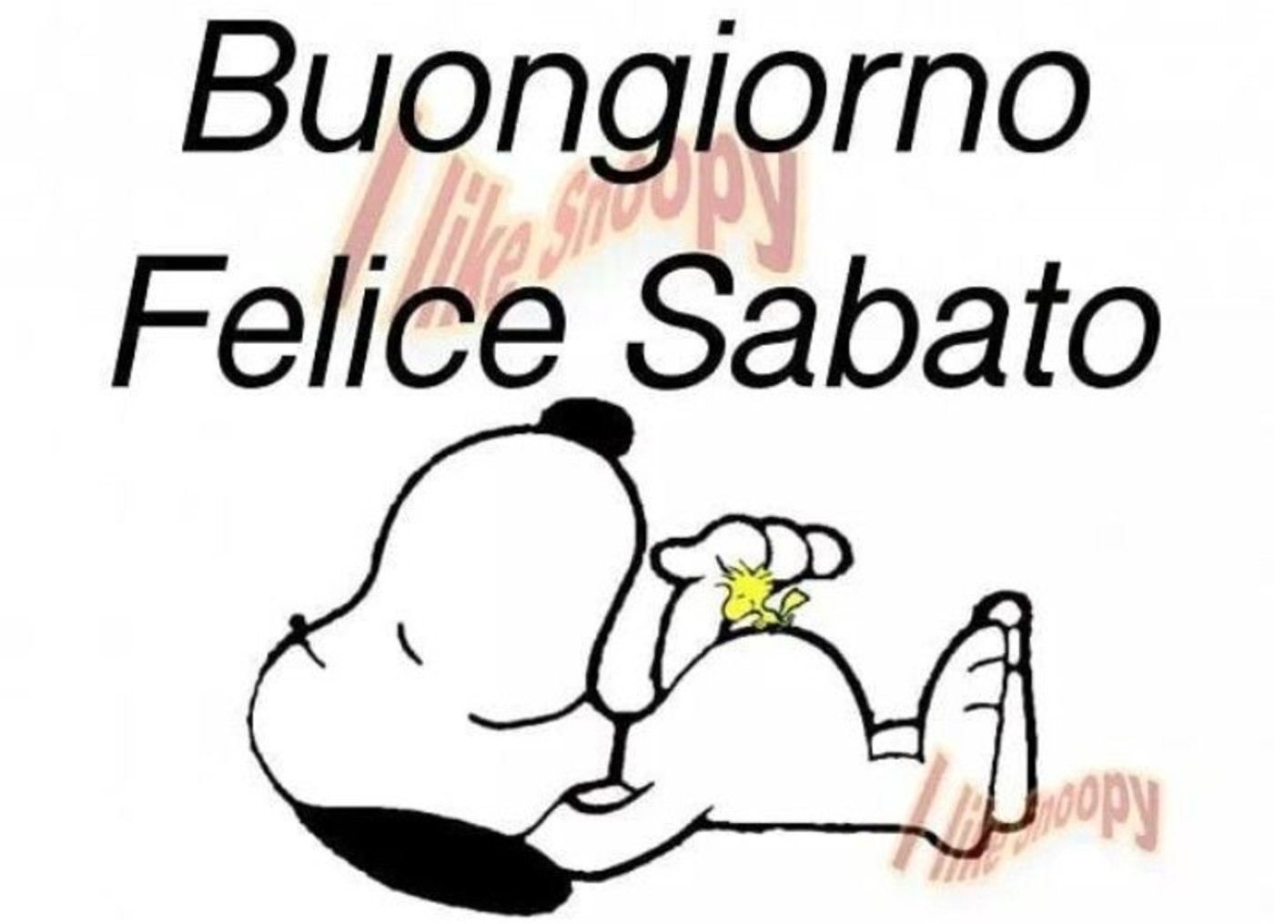 Buongiorno Felice Sabato Snoopy 169