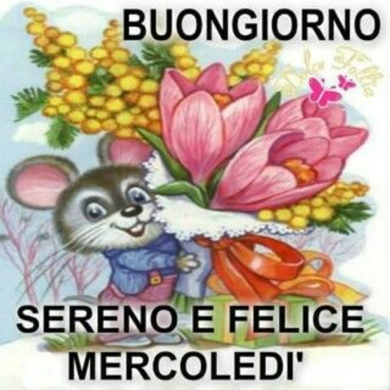 Buongiorno Sereno E Felice Mercoledi Buongiorno Immagini It