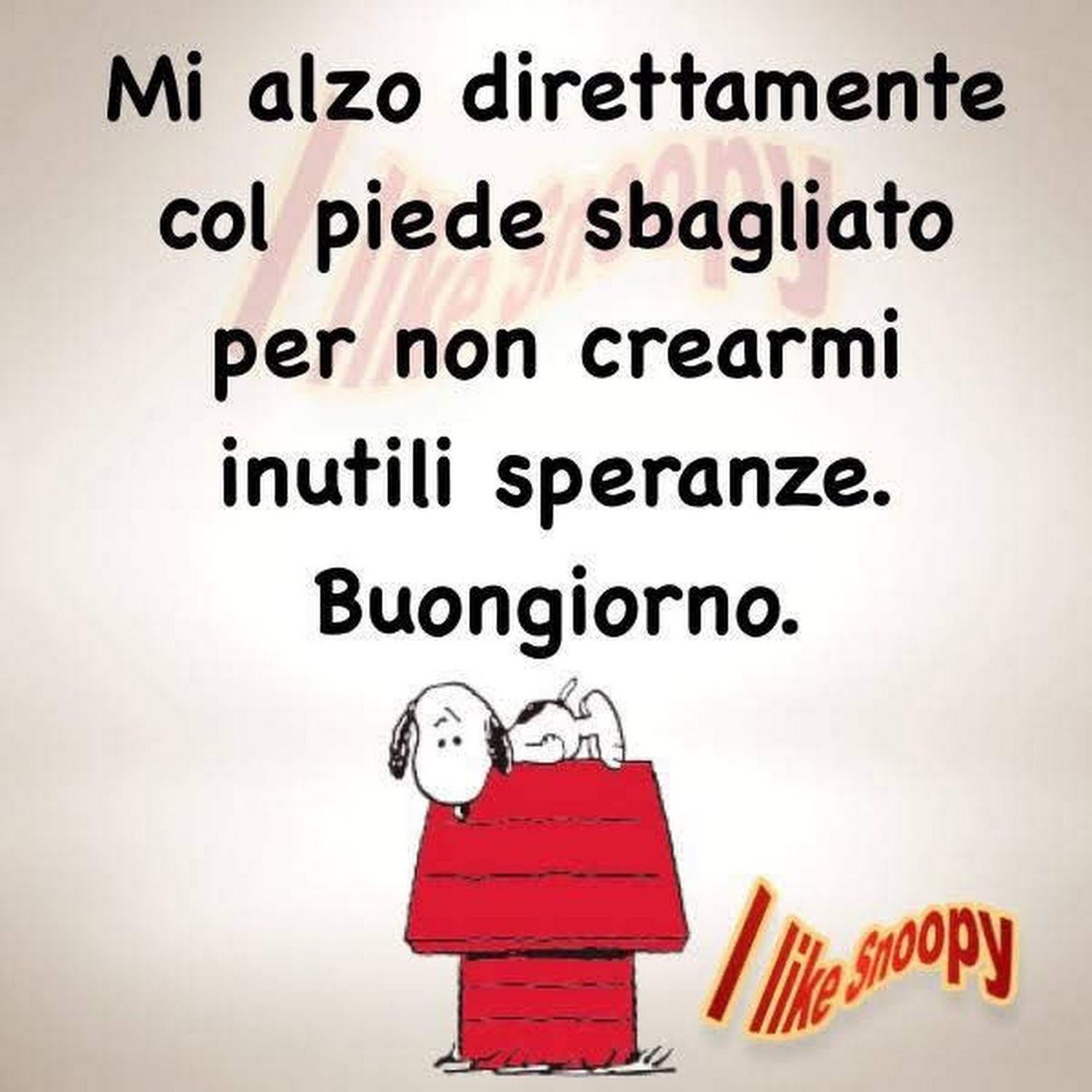 Buongiorno Snoopy 19