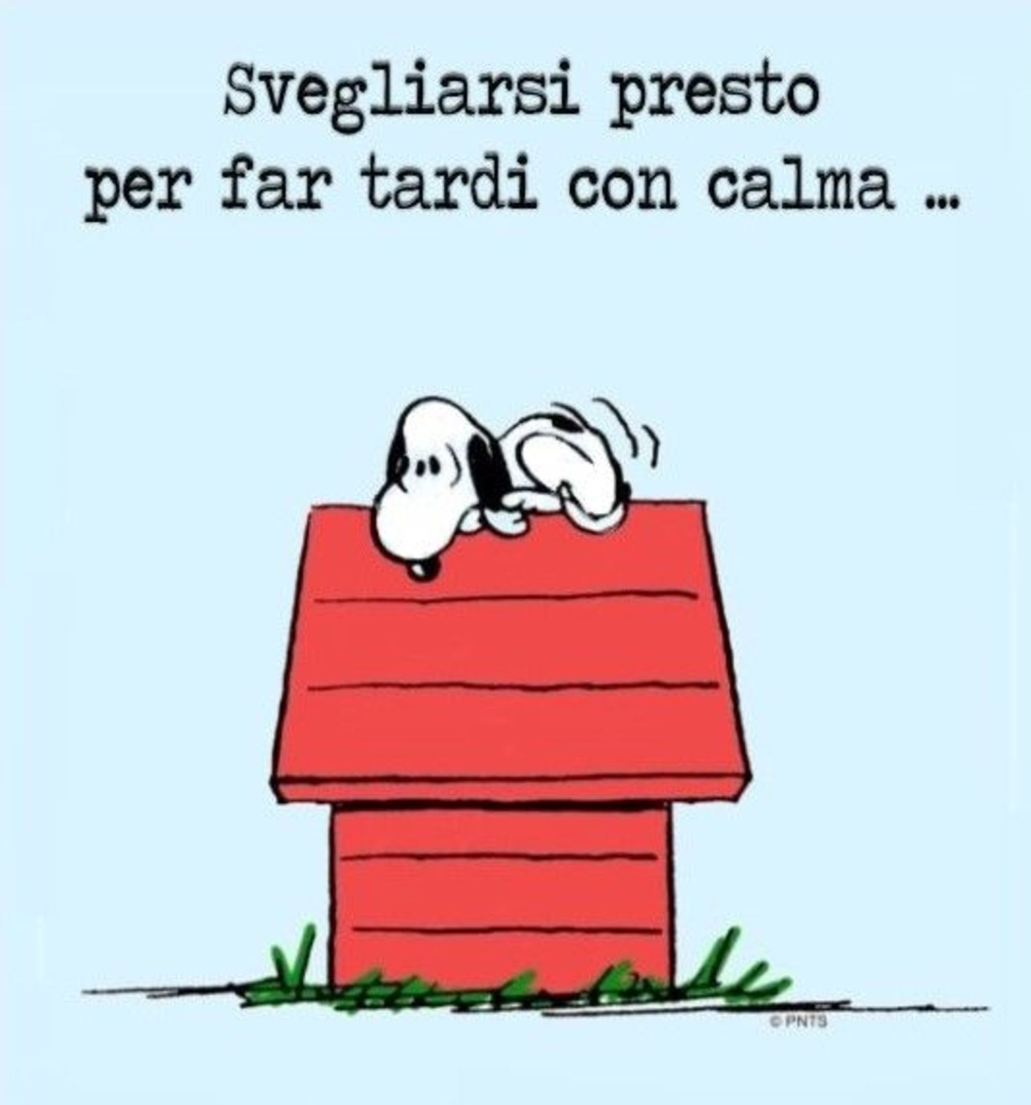 Buongiorno Snoopy 2