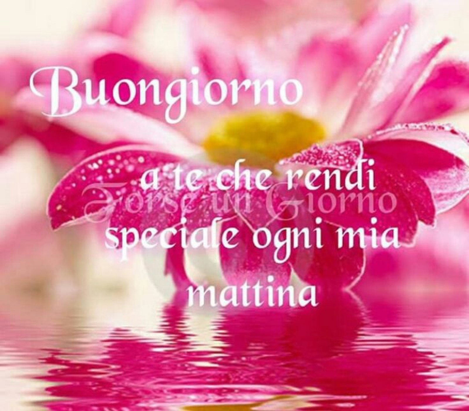 Buongiorno Speciale foto Facebook 31