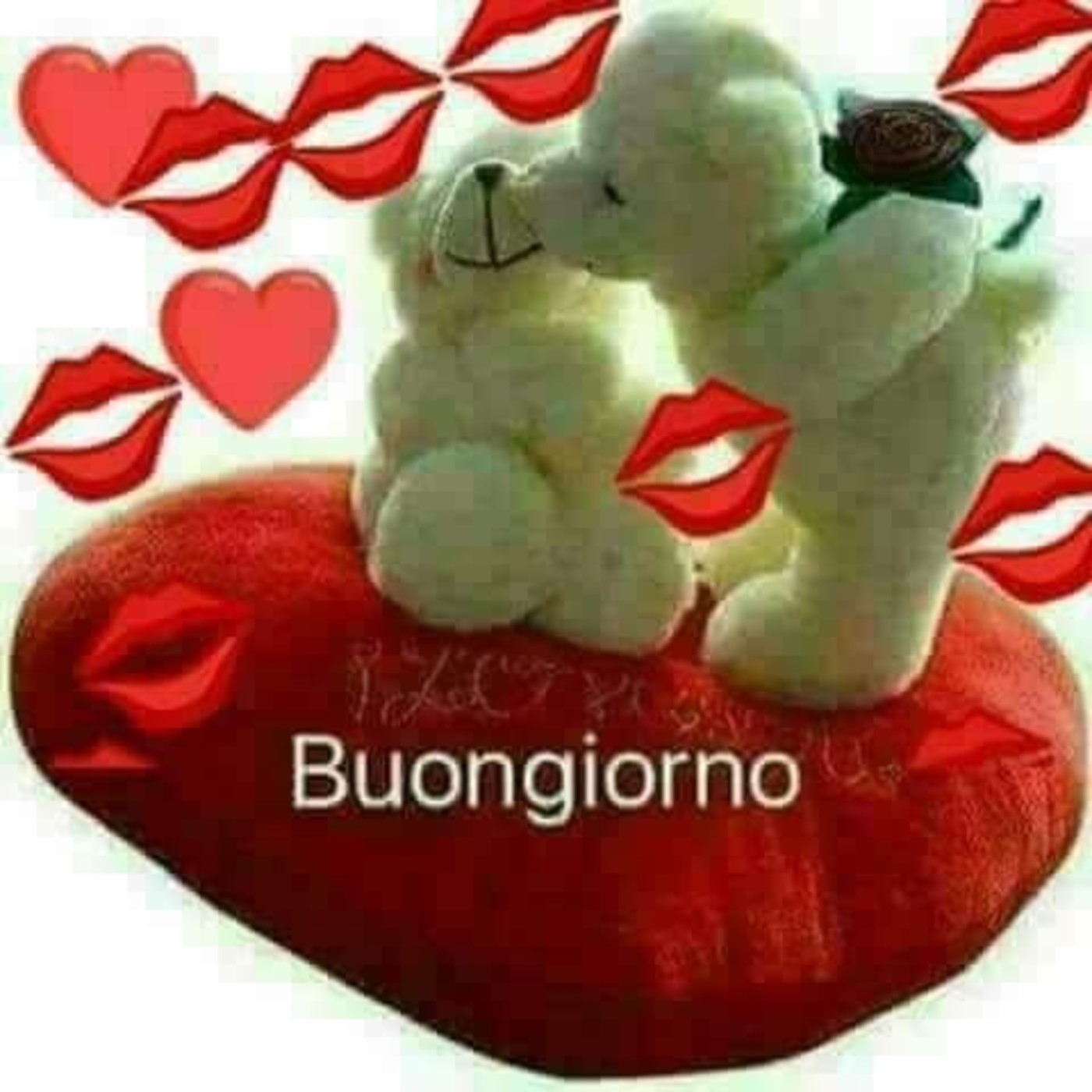 Buongiorno amore mio 366