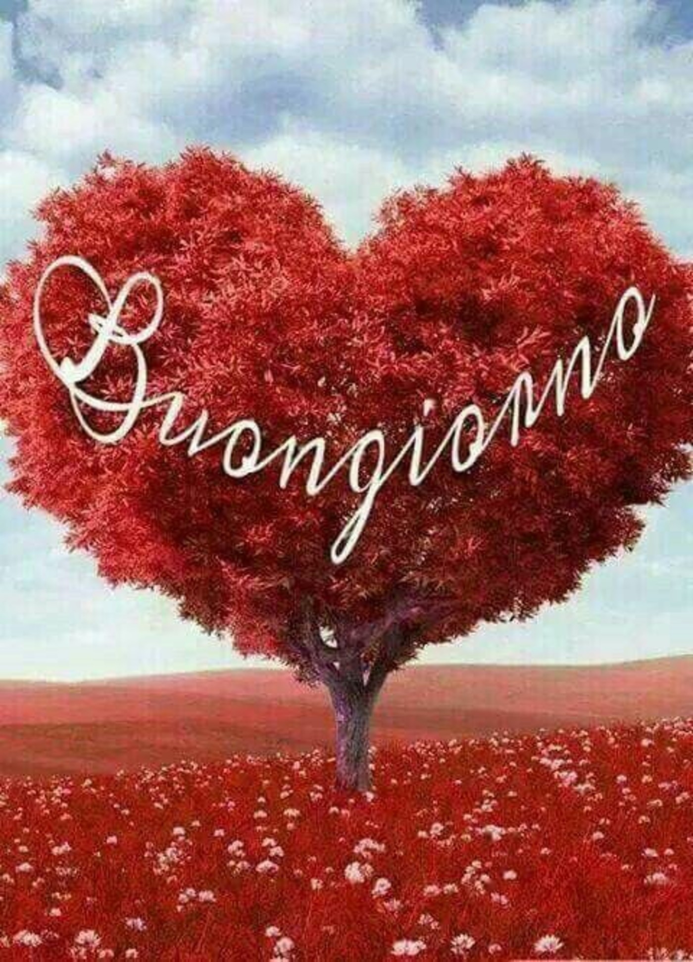 Buongiorno Amore Mio Buongiorno Immagini It