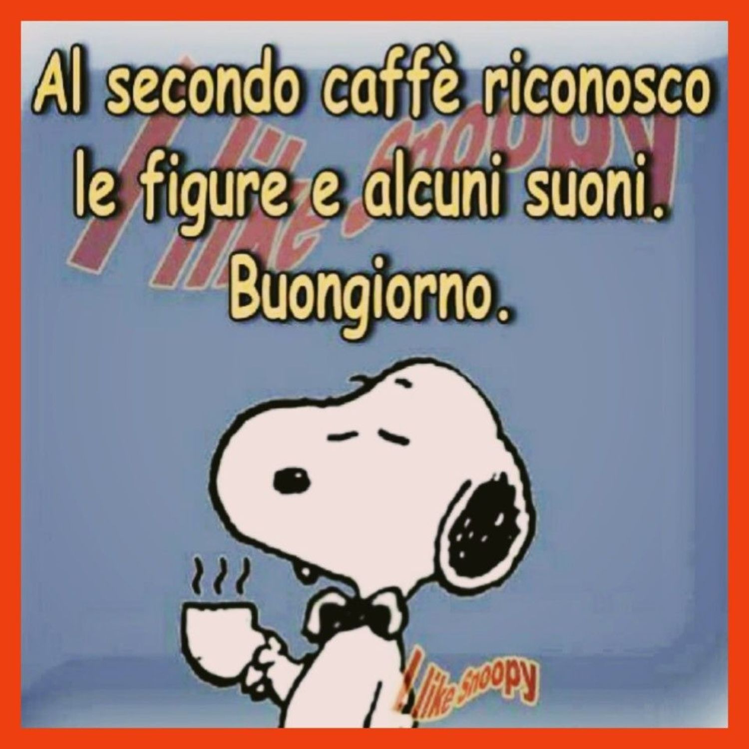 Buongiorno caffè Snoopy 13