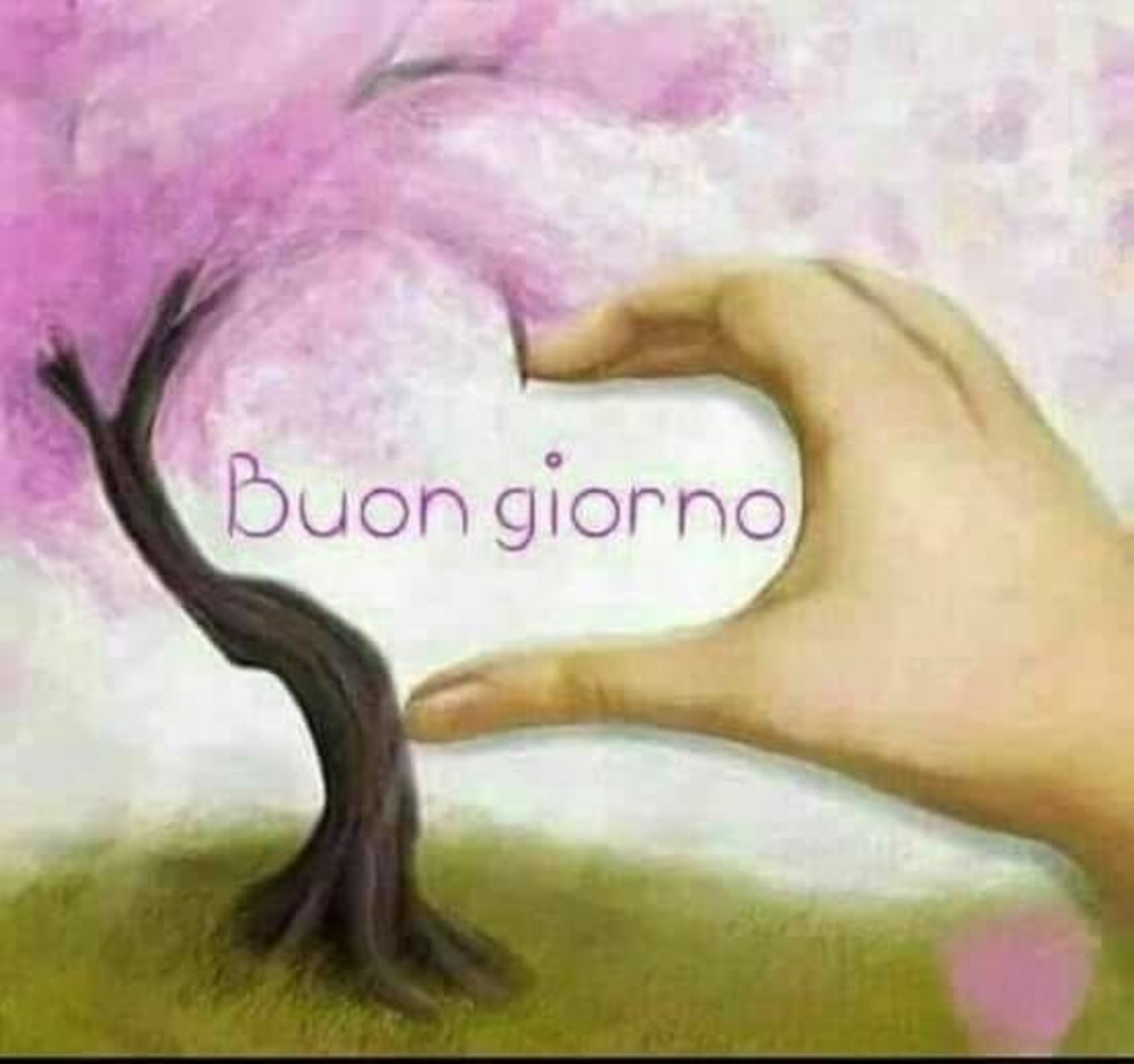 Buongiorno Col Cuore Buongiorno Immagini It