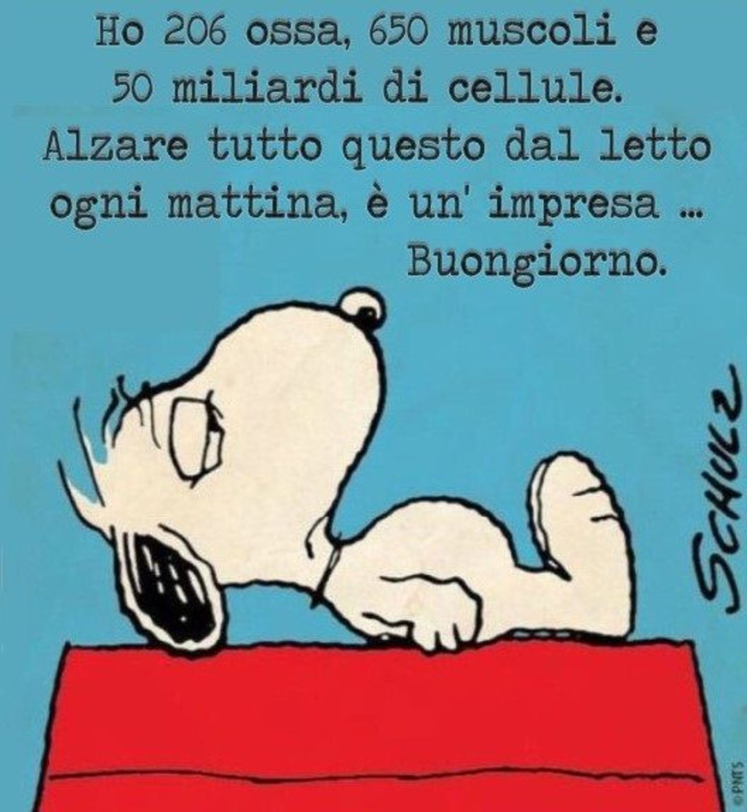 Buongiorno divertente Snoopy 14