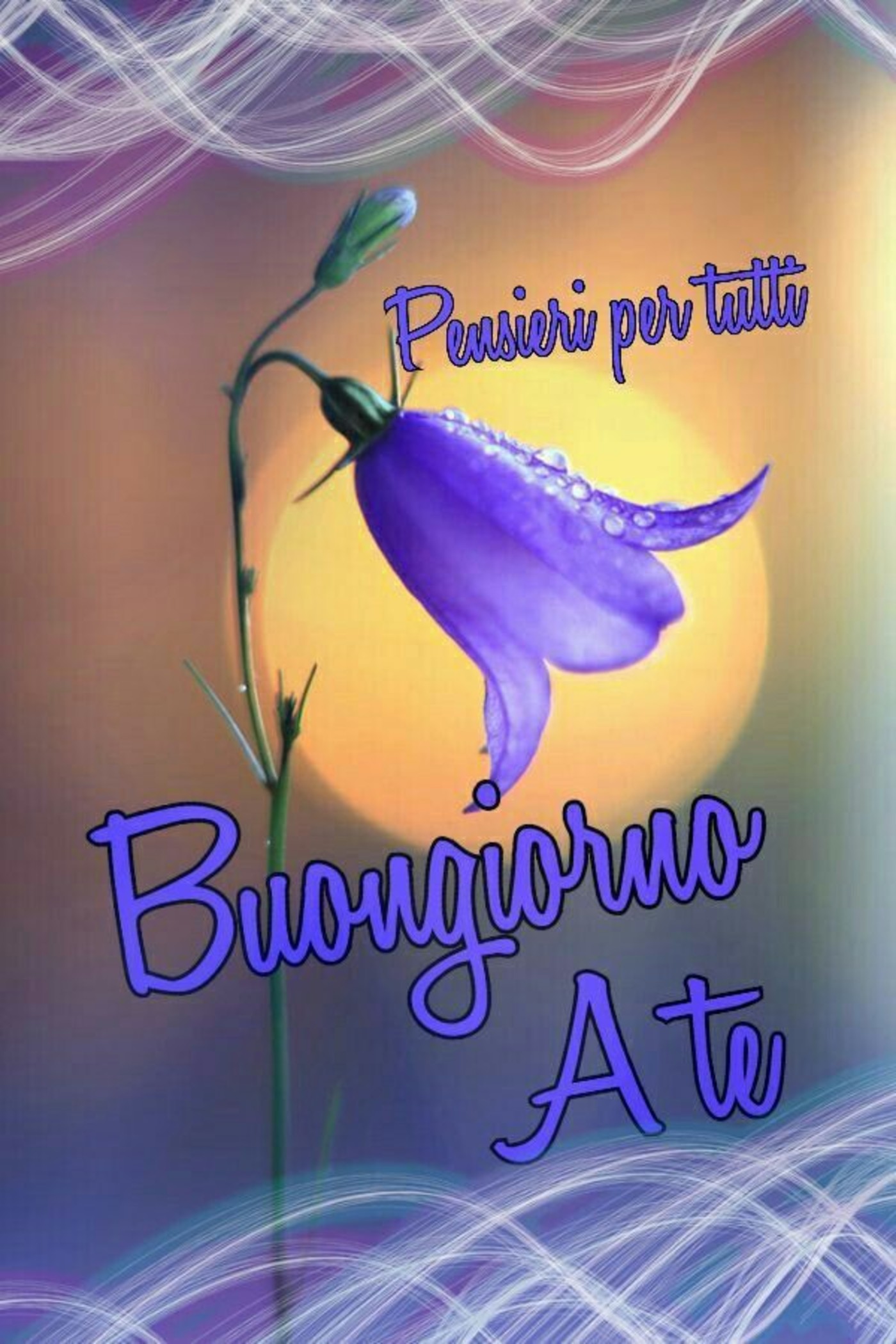 Buongiorno Fiori Buongiorno Immagini It