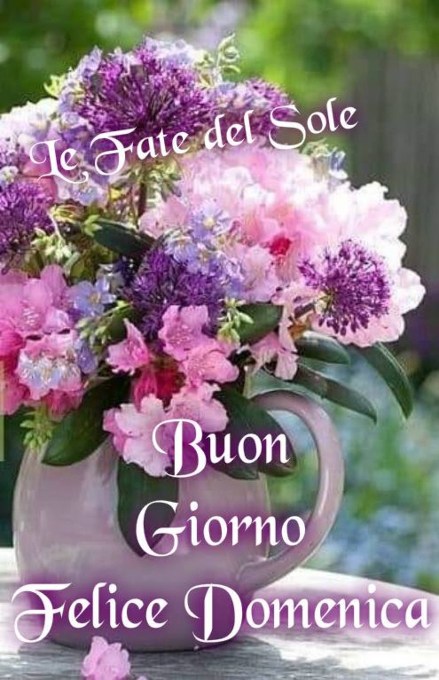 Cartoline di Buona Domenica 306