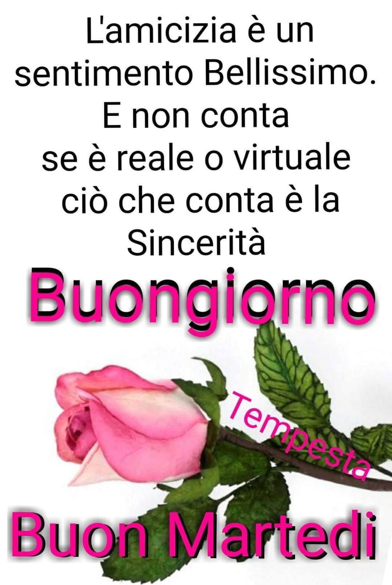 Frasi Belle Di Buon Martedi Amici 192 Buongiorno Immagini It