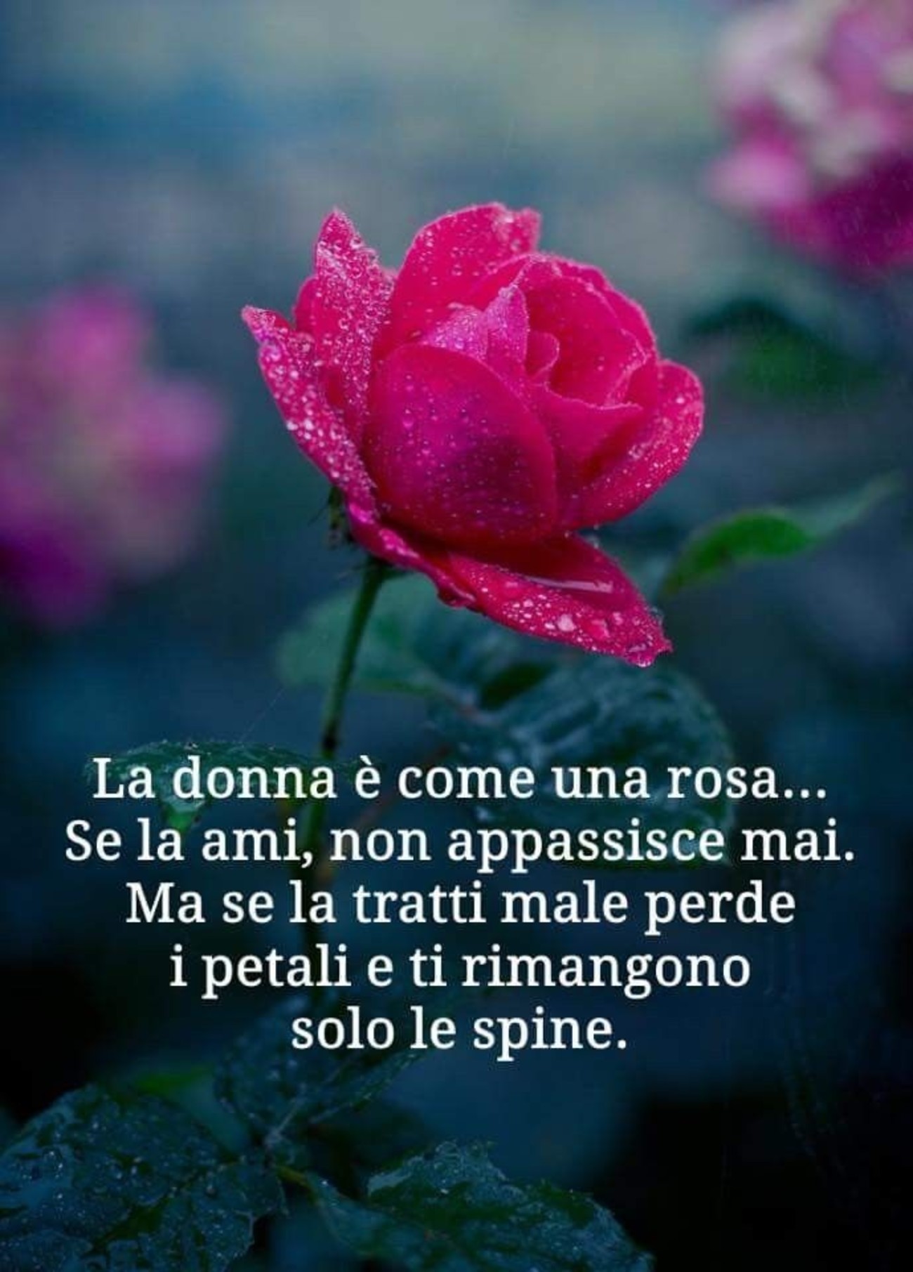 Frasi belle sulle donne 160