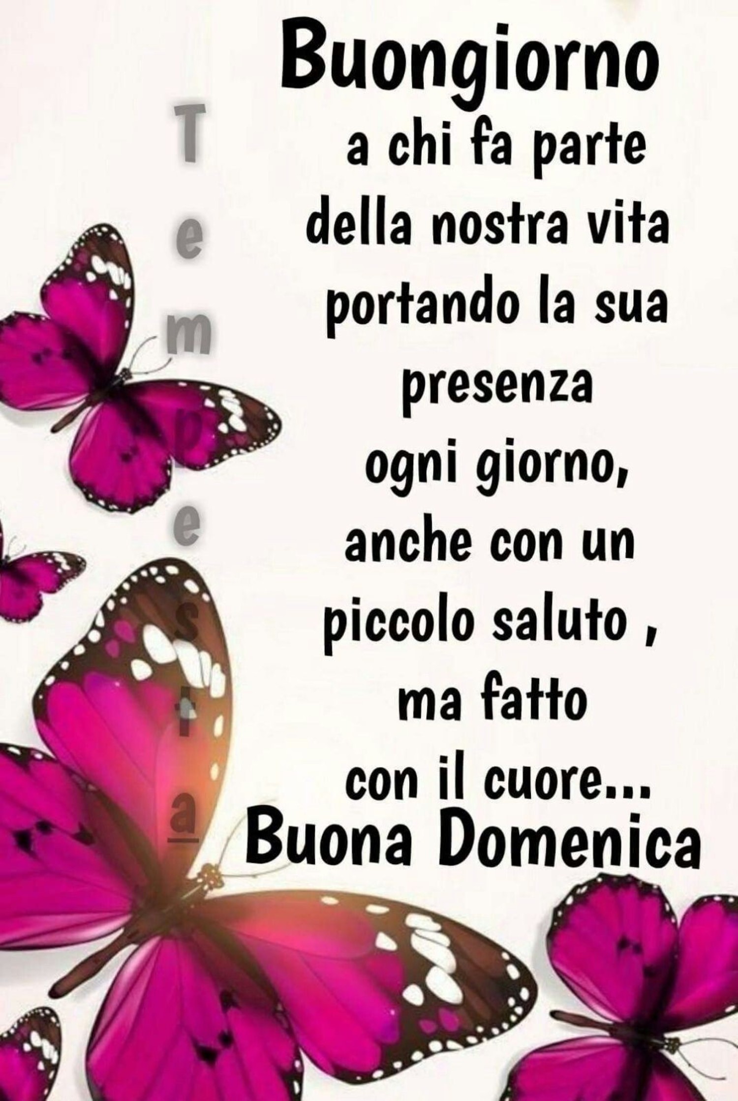 Frasi da mandare agli amici di Buona Domenica 287