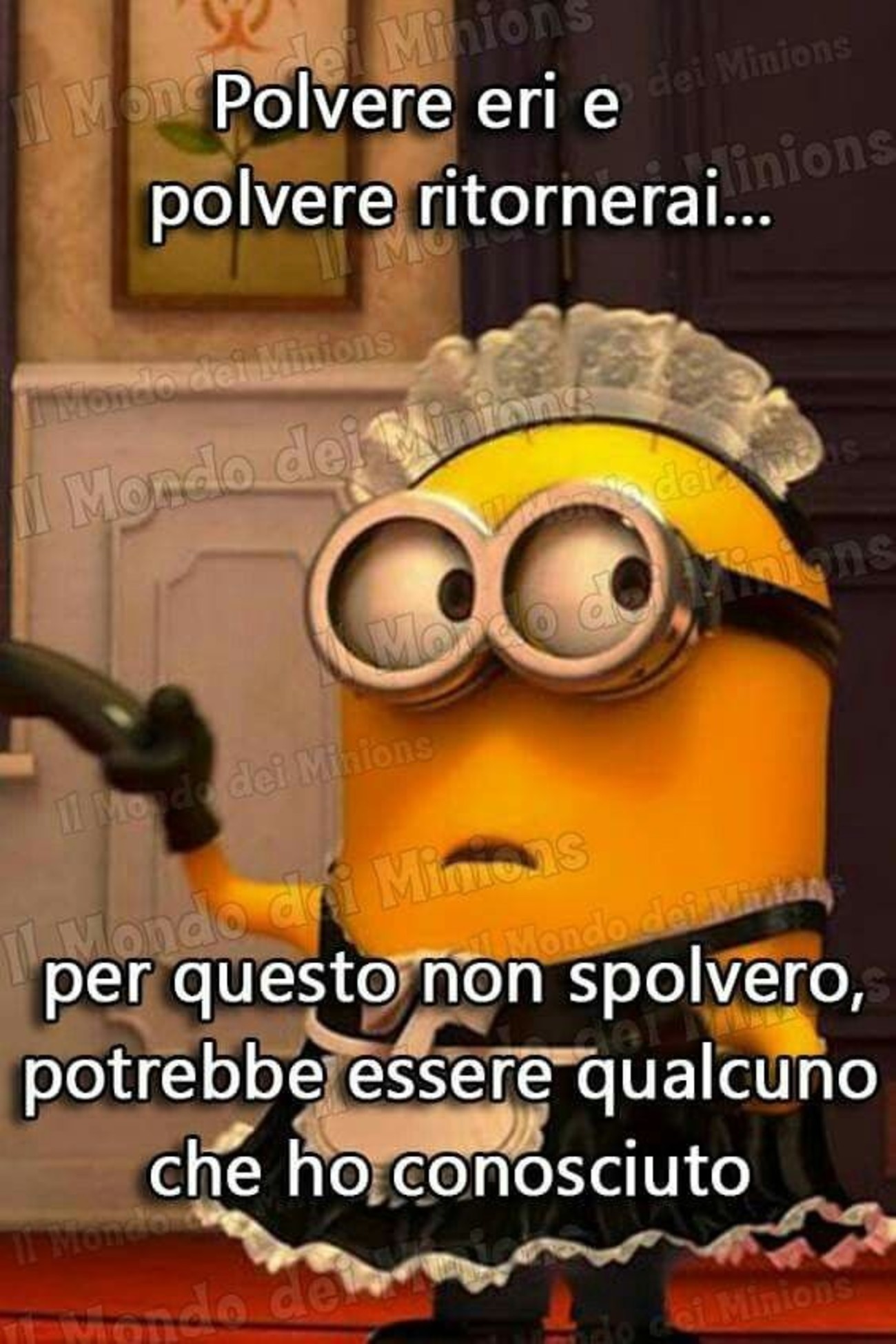 Frasi da ridere dei Minions 287