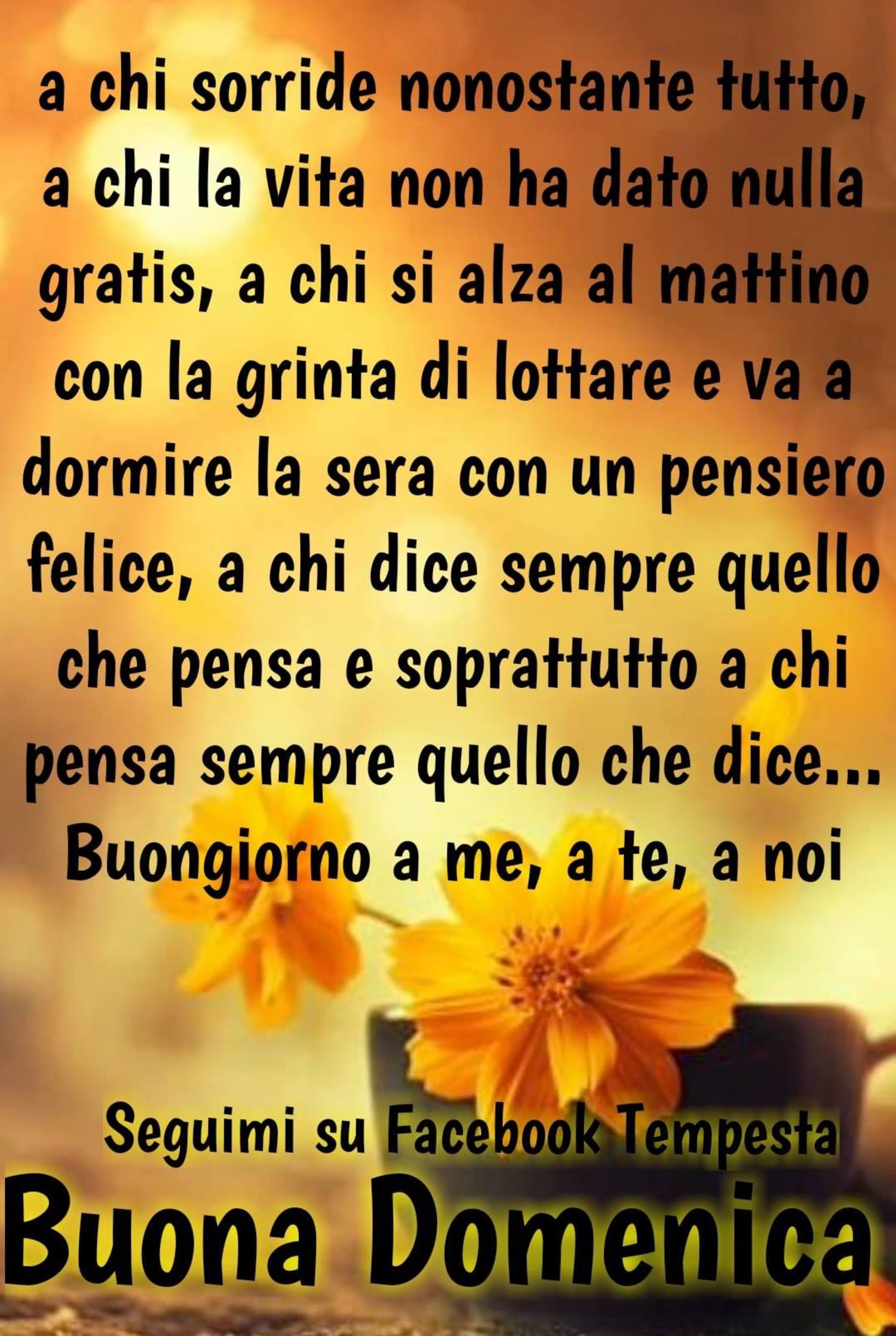 Messaggi Buona Domenica Whatsapp 399 Buongiorno Immagini It