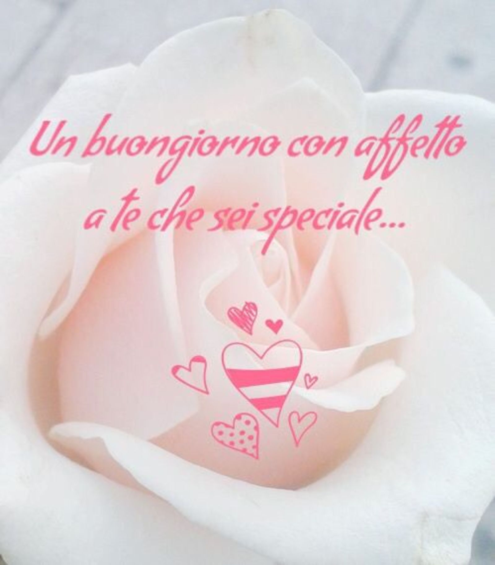 Un Buongiorno con affetto a te che sei Speciale 49