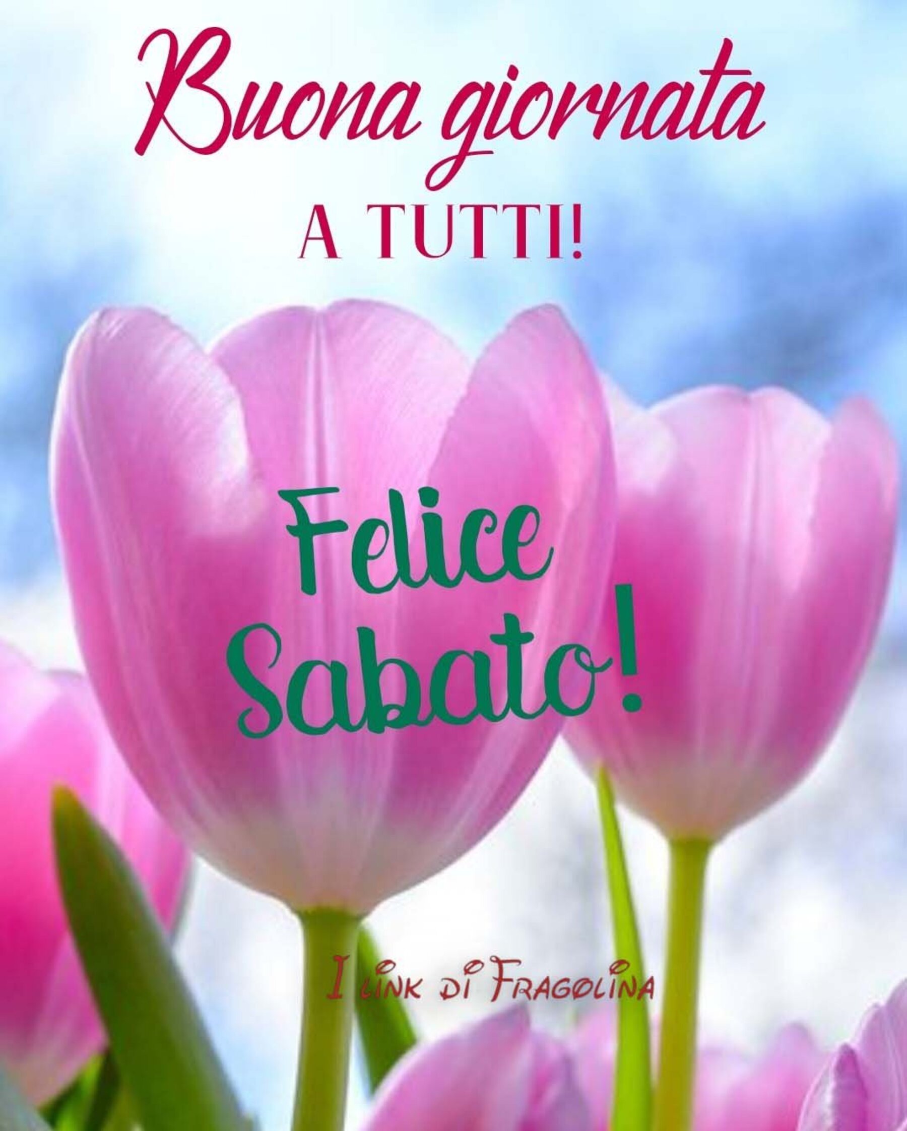 Buona Giornata a tutti Felice Sabato - Buongiorno-Immagini.it